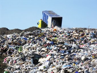 Выявлены лжемусорщики, которые зарабатывали миллионы