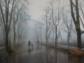 В Одессе открылась выставка картин, приуроченная к 220-летию города