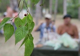 Кулинарные битвы журналистов закрывают сезон в Одессе (фото)