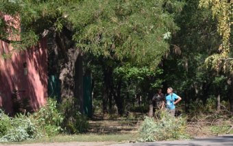 Одесский парк им. Ленинского комсомола благоустраивается (фото)