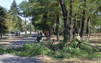 Одесский парк им. Ленинского комсомола благоустраивается (фото)