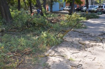 Одесский парк им. Ленинского комсомола благоустраивается (фото)