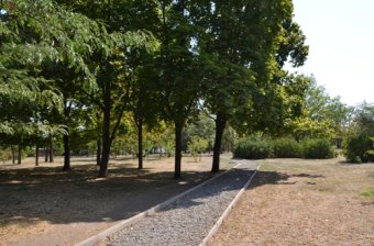 В Одессе благоустроят сквер Партизанской Славы