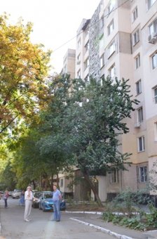 Одесские власти продолжают отчитываться о благоустройстве дворов (фото)