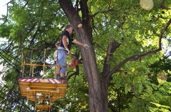 Власти Одессы отчитываются о благоустройстве улицы Черняховского (фото)