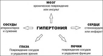 Кардиологи: «Профилактика и контроль гипертонии – залог здоровья нации»