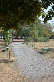 Одесские власти отчитываются о реконструкции сквера Партизанской славы (фото)