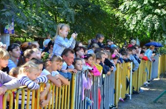 Слониха Венди отметила свой 36-й день рождения