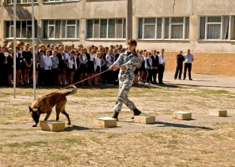 «Неделя безопасности ребенка» прошла в школах Одессы (фото)