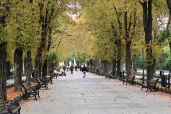 Осенняя рапсодия Одессы (фото)
