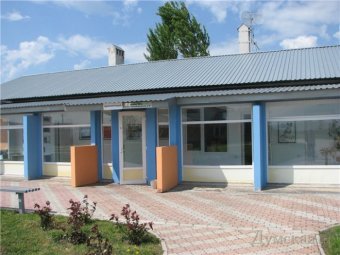 Немецкий приют для бездомных животных продолжит свою работу в Одессе