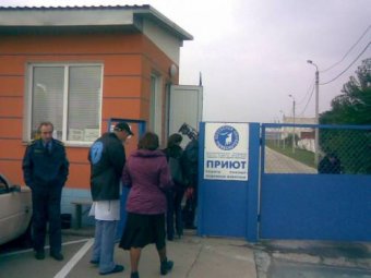Немецкий приют для бездомных животных продолжит свою работу в Одессе
