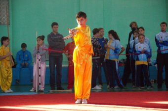Юные одесситы заняли призовые места на Кубке Украины по ушу (фото)