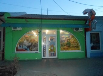 По «горячим следам» раскрыта кража в зоомагазине