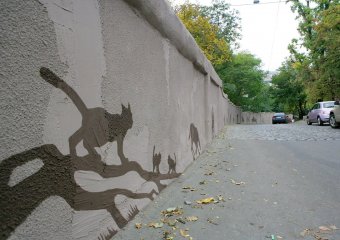 Еще раз о красивом! (фото)