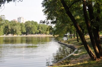 В одесской мэрии обсудили благоустройство Дюковского сада (фото)
