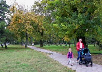 В Одессу пришла золотая осень 
