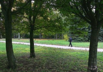 В Одессу пришла золотая осень 