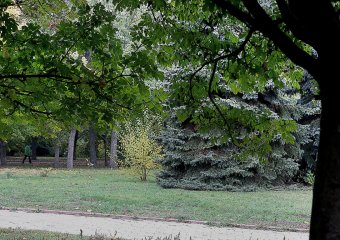 В Одессу пришла золотая осень 