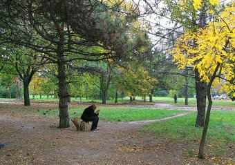 В Одессу пришла золотая осень 