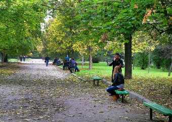 В Одессу пришла золотая осень 