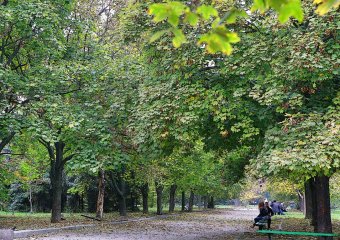 В Одессу пришла золотая осень 