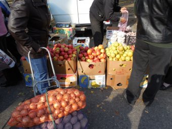 В Малиновском районе проходит осенняя сельхозярмарка (фото)