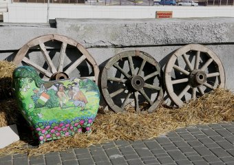 Дары одесской осени (фото)
