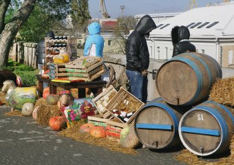 Дары одесской осени (фото)