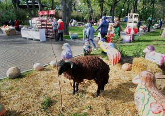 Дары одесской осени (фото)