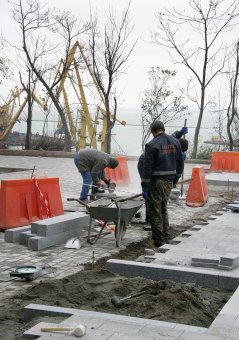 Второе рождение Суворовской аллеи (фото)