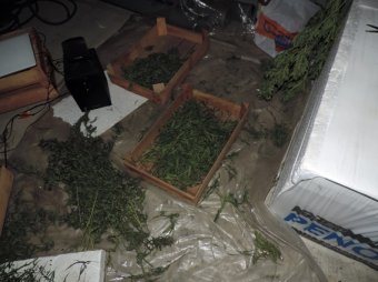 Правоохранители задержали «наркобарона» Великомихайловского района 