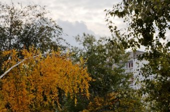 Осень в Одессе... (фото)