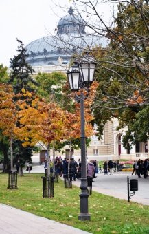 Осень в Одессе... (фото)