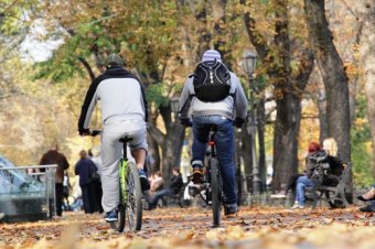 Осень в Одессе... (фото)