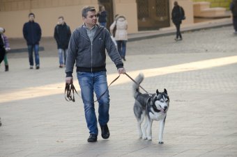 Первый день ноября