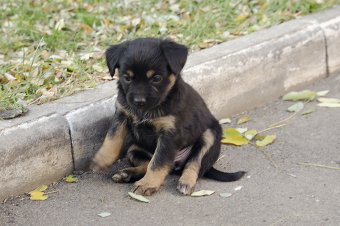 Первый день ноября