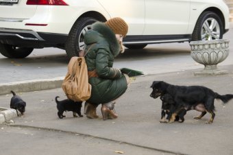 Первый день ноября