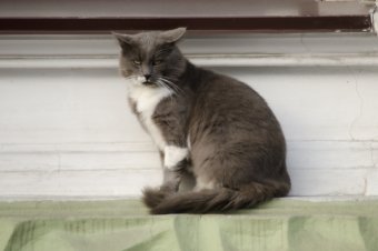Первый день ноября