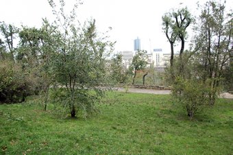 Парки Одессы будут под охраной
