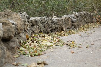 В Стамбульском парке Одессы прошел субботник
