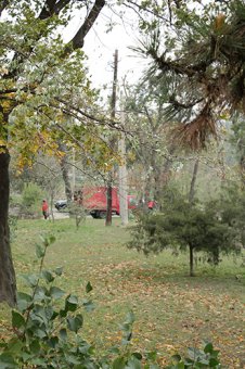 В Стамбульском парке Одессы прошел субботник