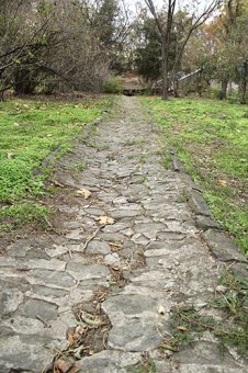 В Стамбульском парке Одессы прошел субботник