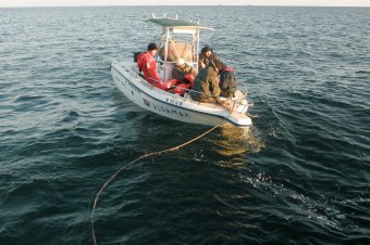 Пограничники Одесского отряда морской охраны спасли жизни шести рыбакам