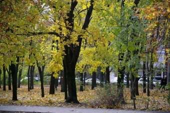 Одесса. Парк Победы