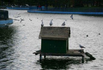 Одесса. Парк Победы