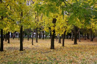 Одесса. Парк Победы