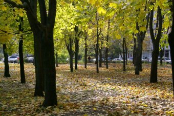 Одесса. Парк Победы