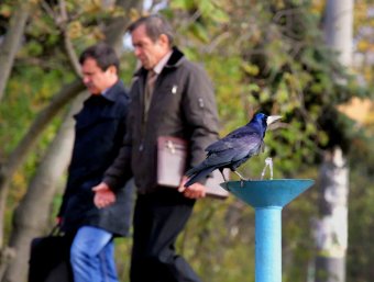 Одесса. Парк Победы
