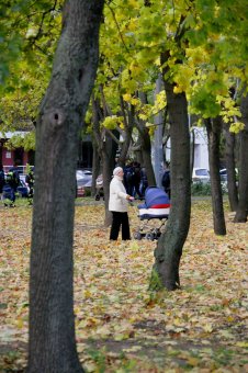 Одесса. Парк Победы